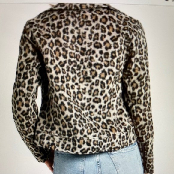 Cupcakes and Cashmere Moto Jacket - Picture 2 of 3